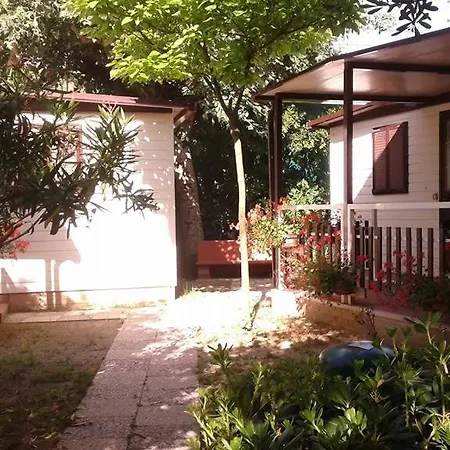 Campsite International Torre Cerrano